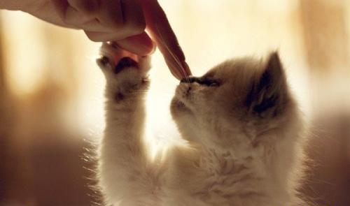 Добро не умирает.