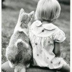 Зона комфорта