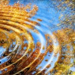 20 законов, которыми руководствуется наша жизнь