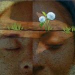 19 жизненных уроков, которые мы до сих пор не усвоили