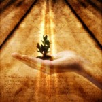 Назвать человеком