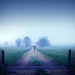 Богатый садовник