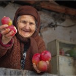 Старики вы мои, старики