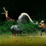 Этот удивительный мир