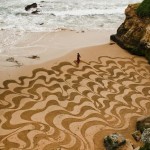 Жизнь с чистого листа