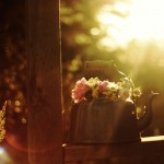 Ускоряемся в направлении счастья